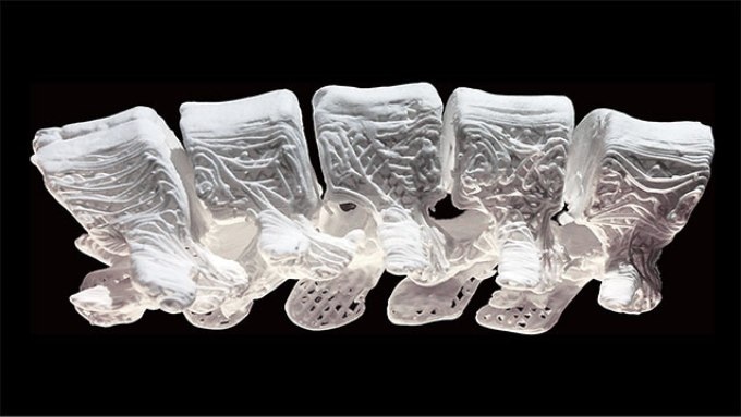 A hyperelastic bone in the shape of a section of the human spine 3-D printed using an ink developed at Northwestern University. Credit Adam E. Jakus