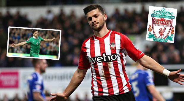 Shane Long is good enough to strengthen the array of options in the Anfield dressing-room